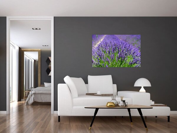Slika - lavanda (90x60 cm)