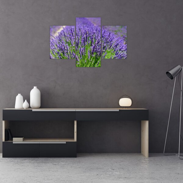 Slika - lavanda (90x60 cm)