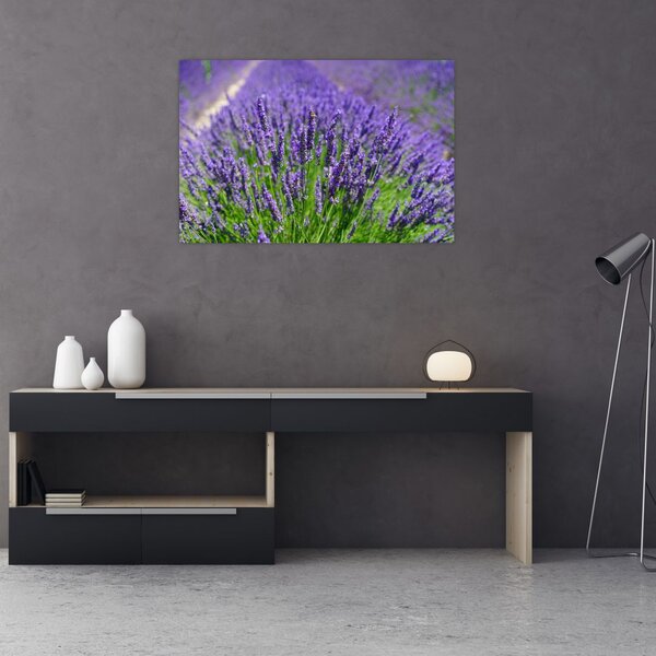 Slika - lavanda (90x60 cm)
