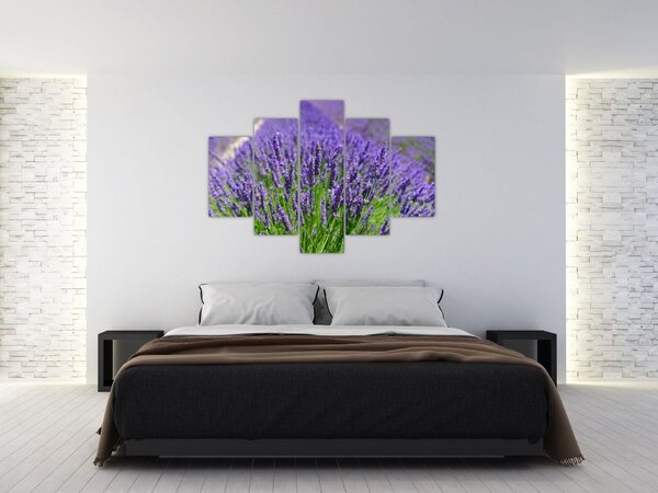 Slika - lavanda (150x105 cm)