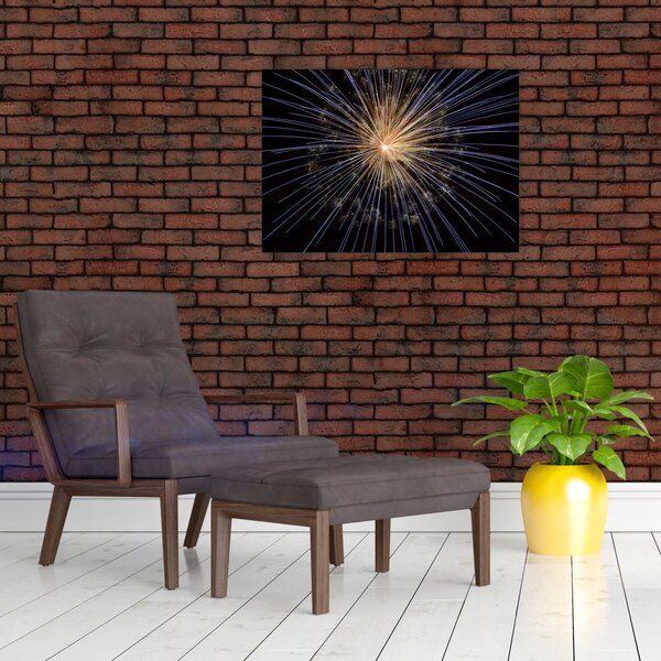 Slika vatrometa (70x50 cm)