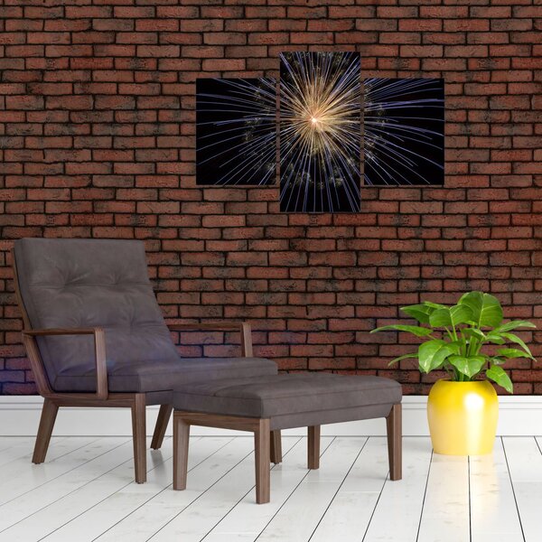 Slika vatrometa (90x60 cm)