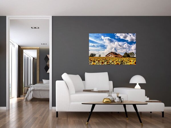 Slika polja suncokreta (90x60 cm)