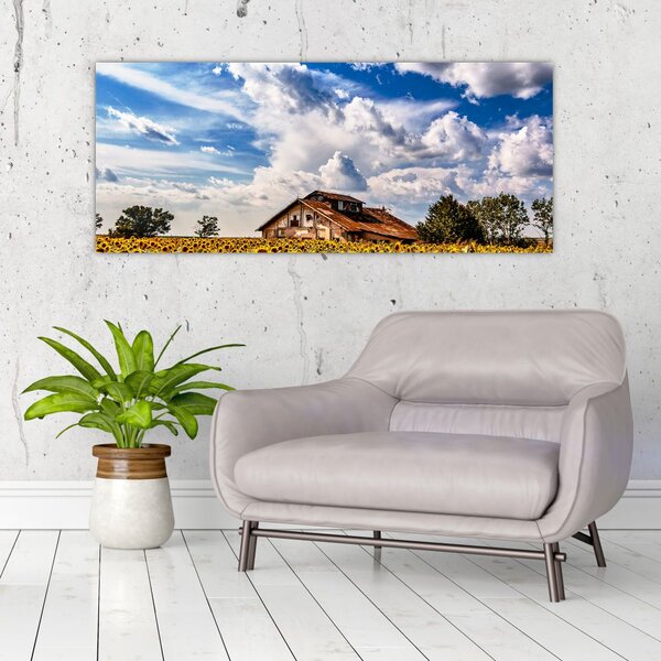 Slika polja suncokreta (120x50 cm)