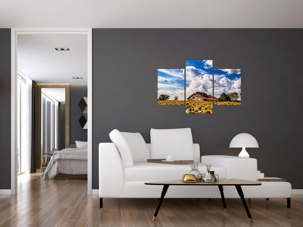 Slika polja suncokreta (90x60 cm)