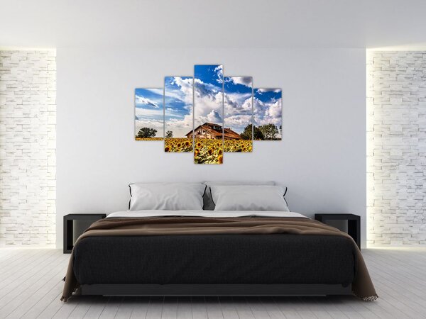 Slika polja suncokreta (150x105 cm)