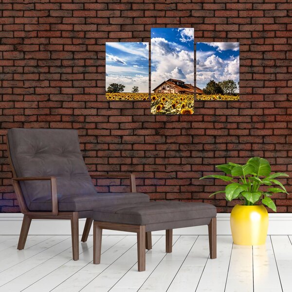 Slika polja suncokreta (90x60 cm)