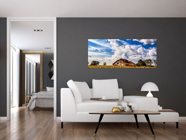 Slika polja suncokreta (120x50 cm)
