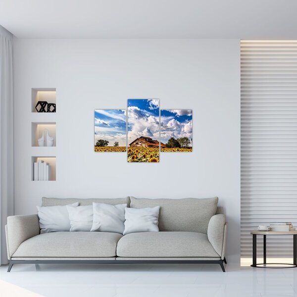 Slika polja suncokreta (90x60 cm)