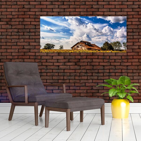 Slika polja suncokreta (120x50 cm)