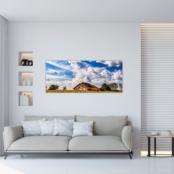 Slika polja suncokreta (120x50 cm)