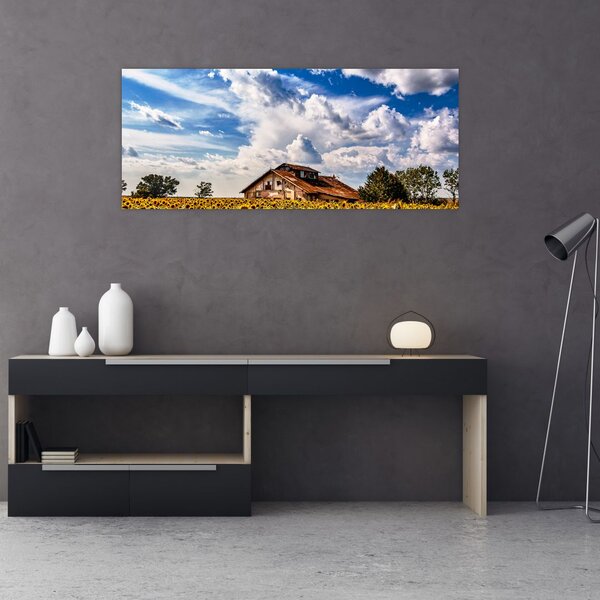 Slika polja suncokreta (120x50 cm)