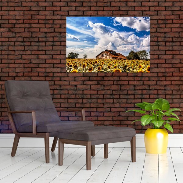 Slika polja suncokreta (90x60 cm)