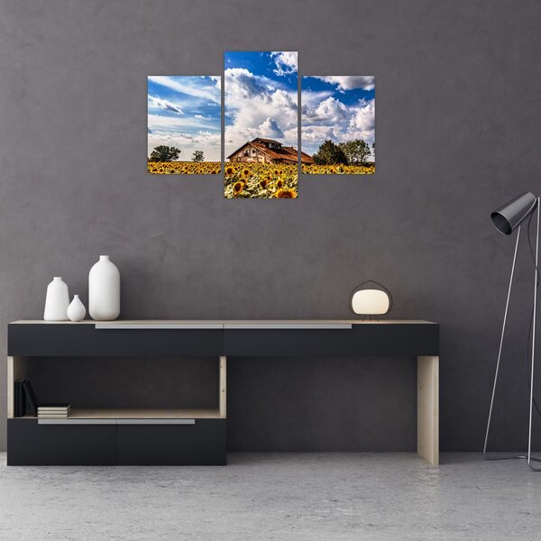 Slika polja suncokreta (90x60 cm)