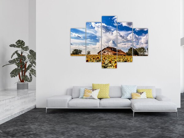 Slika polja suncokreta (150x105 cm)