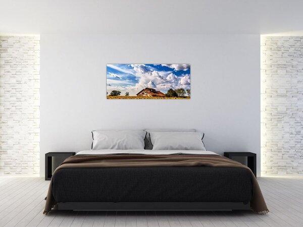 Slika polja suncokreta (120x50 cm)