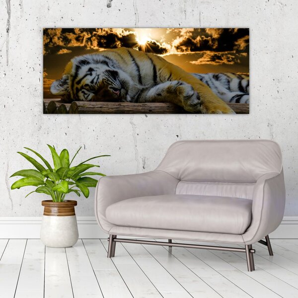 Slika usnulog tigra (120x50 cm)