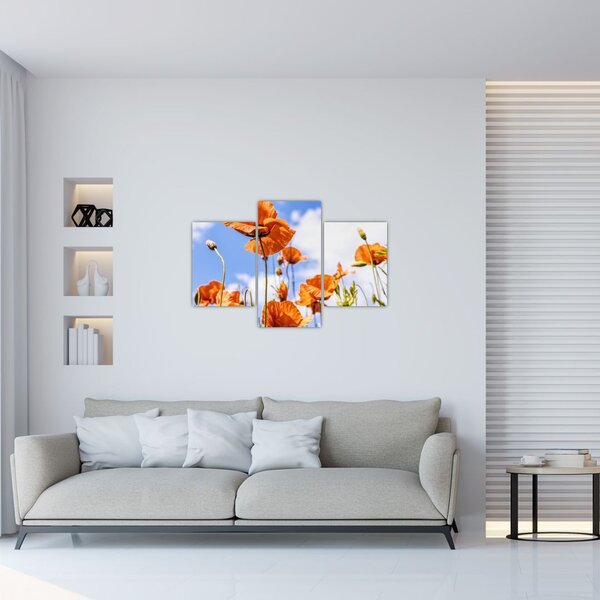 Slika maka (90x60 cm)