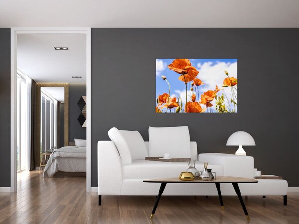 Slika maka (90x60 cm)