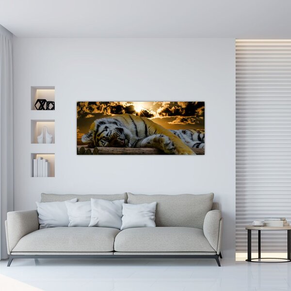 Slika usnulog tigra (120x50 cm)