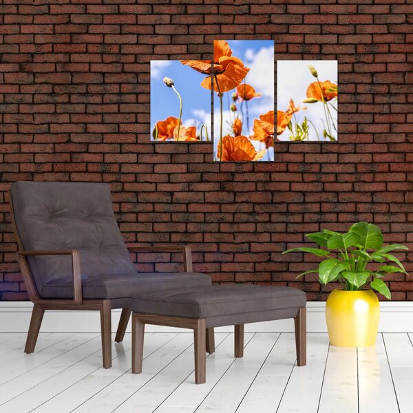 Slika maka (90x60 cm)