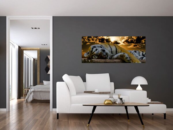 Slika usnulog tigra (120x50 cm)