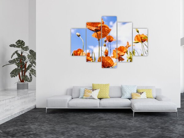 Slika maka (150x105 cm)