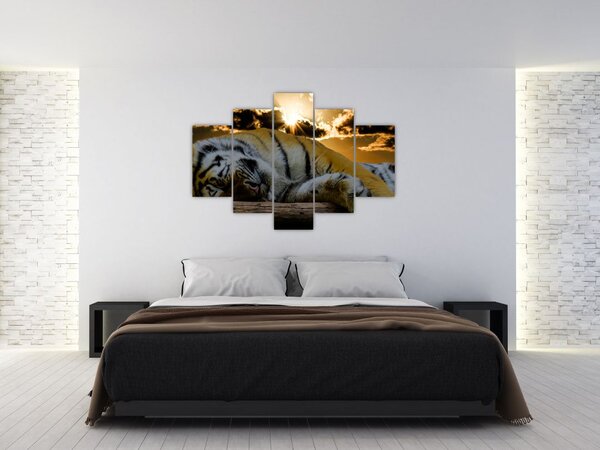 Slika usnulog tigra (150x105 cm)