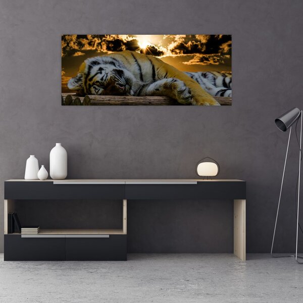 Slika usnulog tigra (120x50 cm)