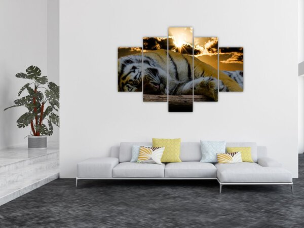 Slika usnulog tigra (150x105 cm)