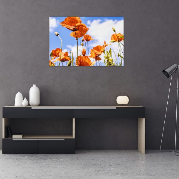 Slika maka (90x60 cm)
