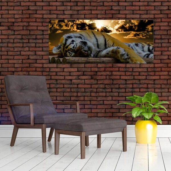 Slika usnulog tigra (120x50 cm)