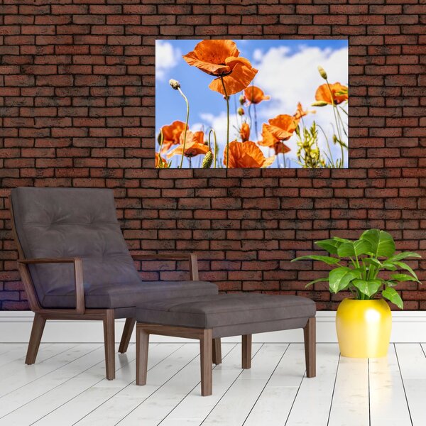 Slika maka (90x60 cm)