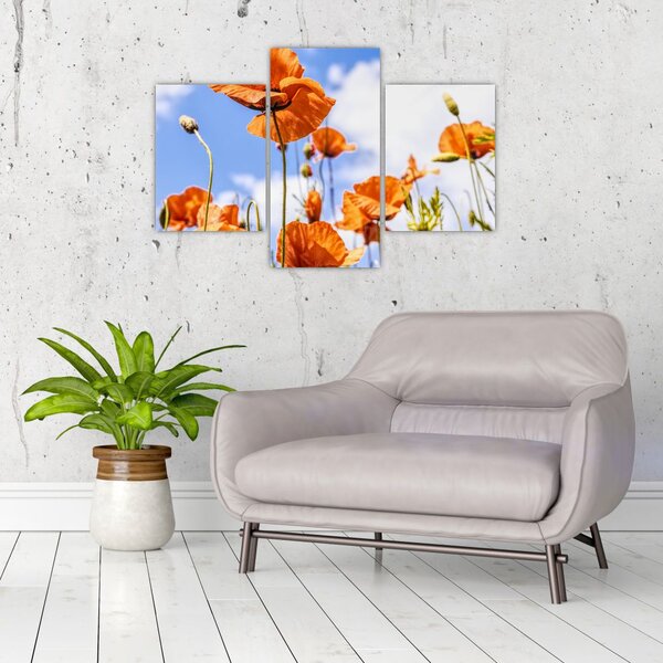 Slika maka (90x60 cm)