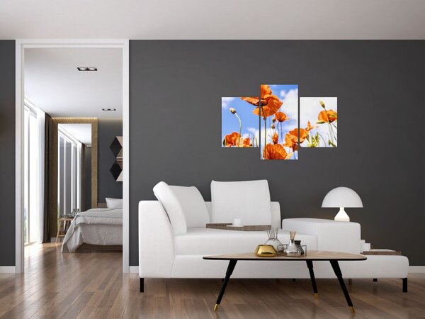 Slika maka (90x60 cm)