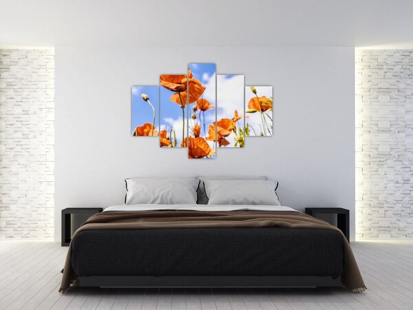 Slika maka (150x105 cm)