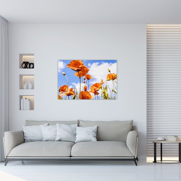 Slika maka (90x60 cm)