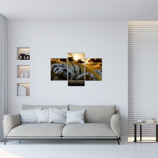 Slika usnulog tigra (90x60 cm)