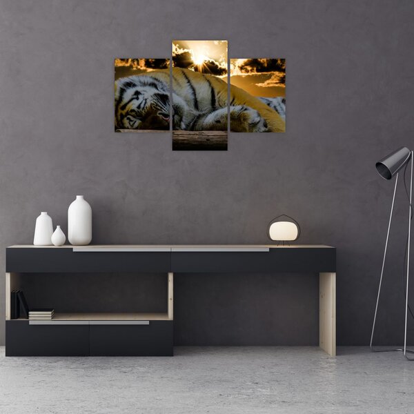 Slika usnulog tigra (90x60 cm)