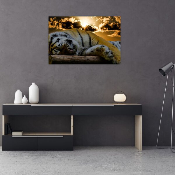 Slika usnulog tigra (90x60 cm)