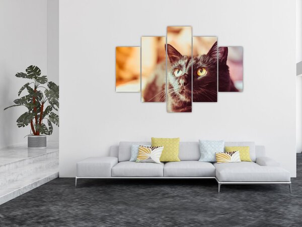 Slika crne mačke (150x105 cm)