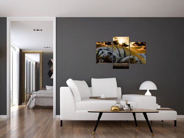 Slika usnulog tigra (90x60 cm)