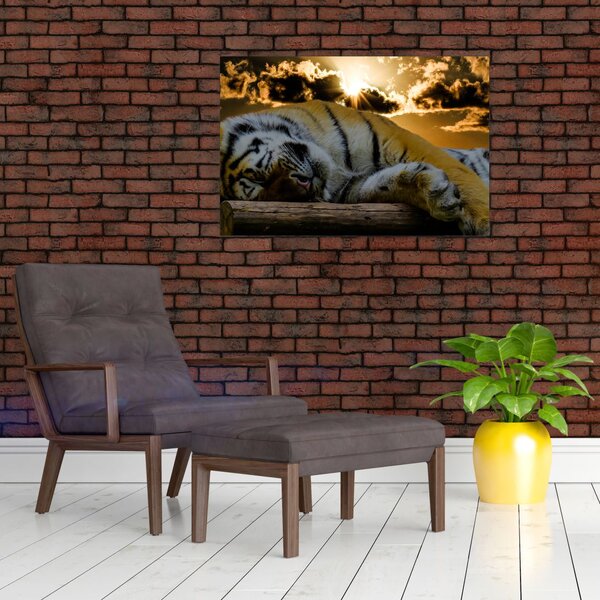 Slika usnulog tigra (90x60 cm)