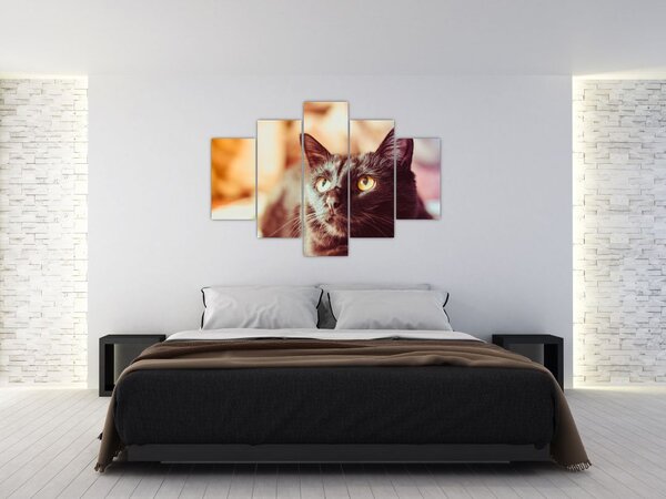 Slika crne mačke (150x105 cm)