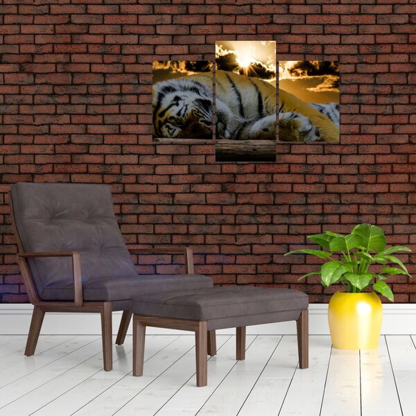 Slika usnulog tigra (90x60 cm)