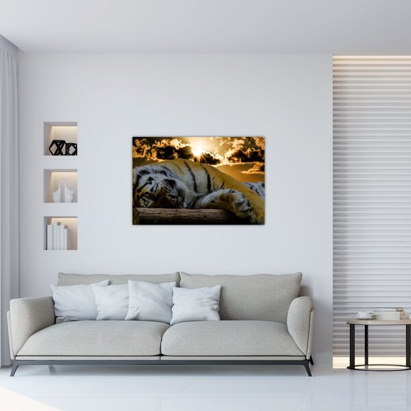 Slika usnulog tigra (90x60 cm)