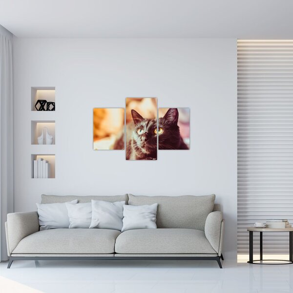 Slika crne mačke (90x60 cm)