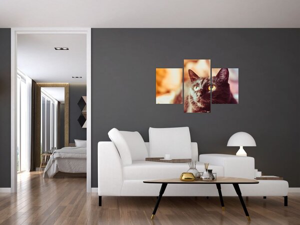 Slika crne mačke (90x60 cm)