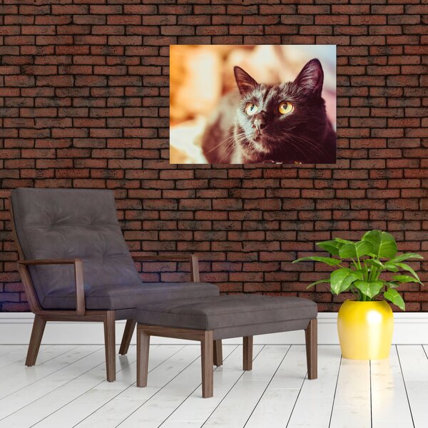 Slika crne mačke (70x50 cm)