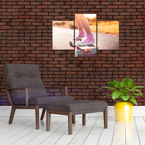 Slika skateboarda (90x60 cm)